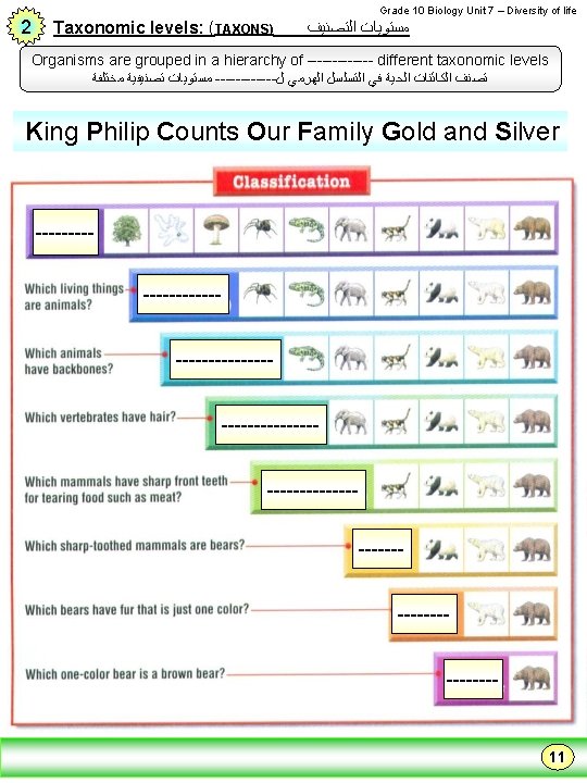2 Grade 10 Biology Unit 7 – Diversity of life Taxonomic levels: (TAXONS) ﺍﻟﺘﺼﻨﻴﻒ