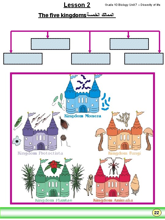 Lesson 2 Grade 10 Biology Unit 7 – Diversity of life The five kingdoms