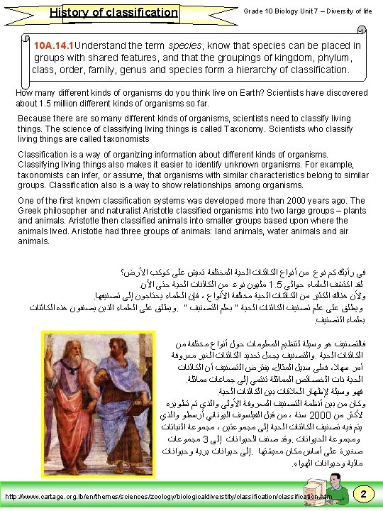 History of classification Grade 10 Biology Unit 7 – Diversity of life 10 A.