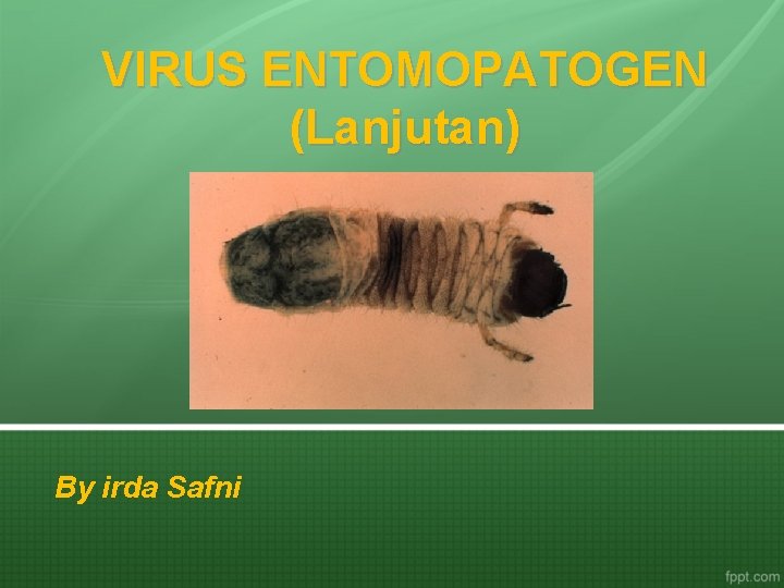 VIRUS ENTOMOPATOGEN (Lanjutan) By irda Safni 