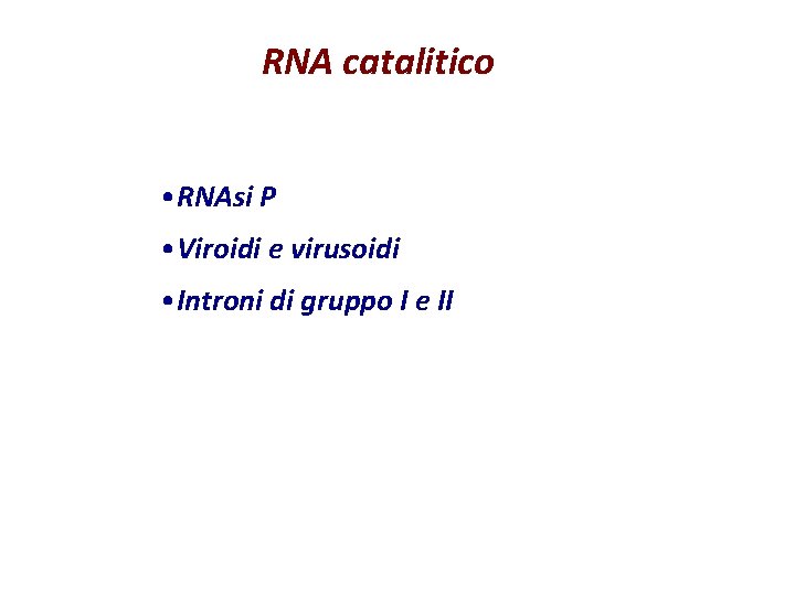 RNA catalitico • RNAsi P • Viroidi e virusoidi • Introni di gruppo I