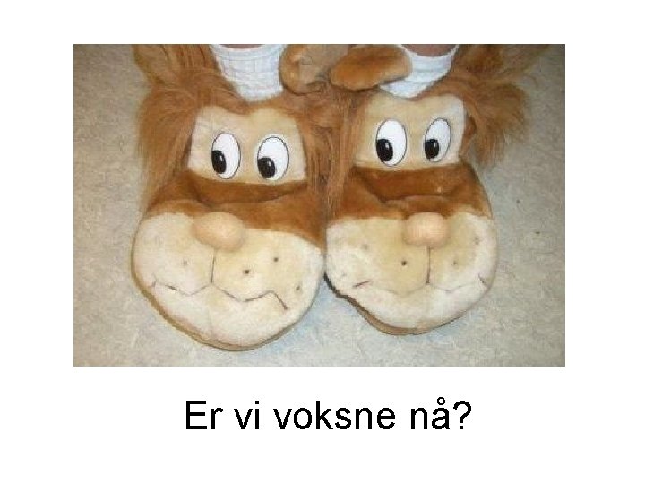 Er vi voksne nå? Er vi voksne nå?