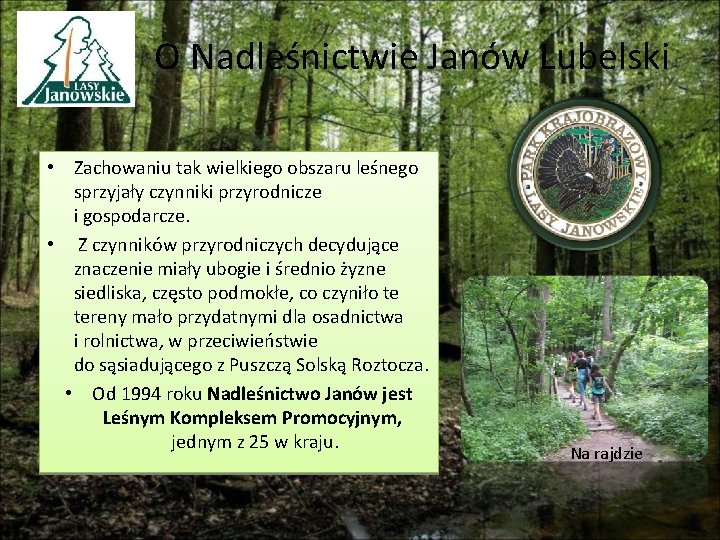 O Nadleśnictwie Janów Lubelski • Zachowaniu tak wielkiego obszaru leśnego sprzyjały czynniki przyrodnicze i