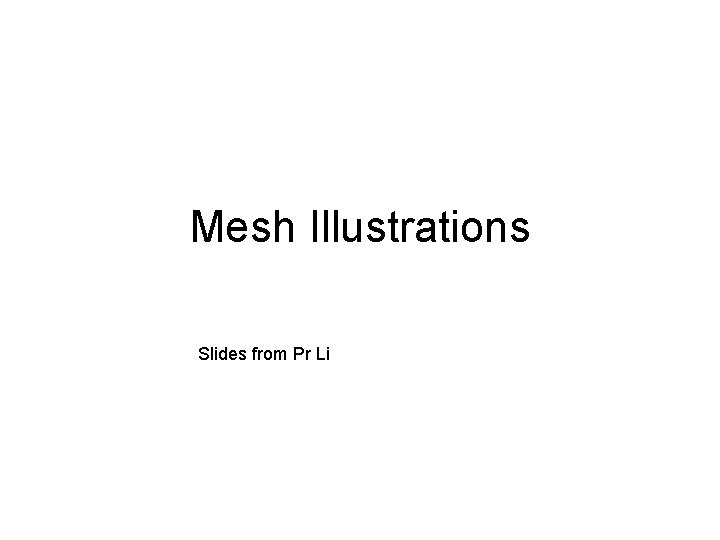 Mesh Illustrations Slides from Pr Li 