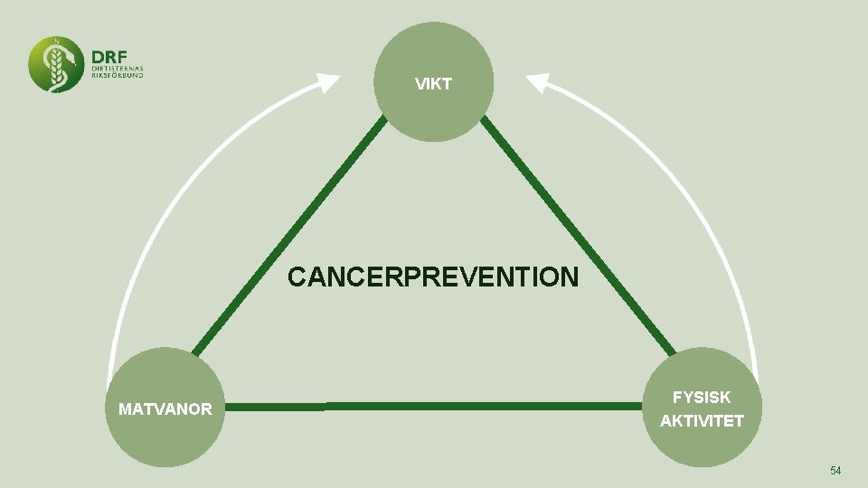 VIKT CANCERPREVENTION MATVANOR FYSISK AKTIVITET 54 