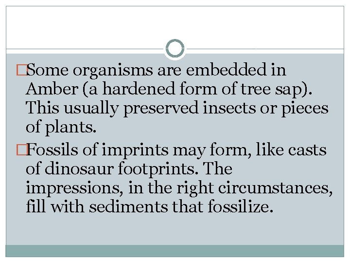 �Some organisms are embedded in Amber (a hardened form of tree sap). This usually