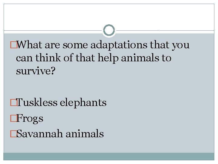 �What are some adaptations that you can think of that help animals to survive?
