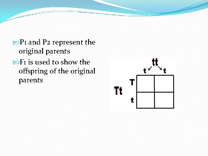  P 1 and P 2 represent the original parents F 1 is used