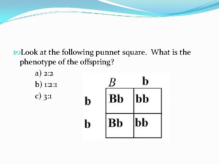  Look at the following punnet square. What is the phenotype of the offspring?