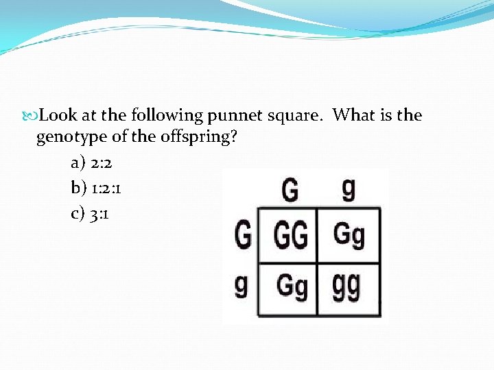  Look at the following punnet square. What is the genotype of the offspring?