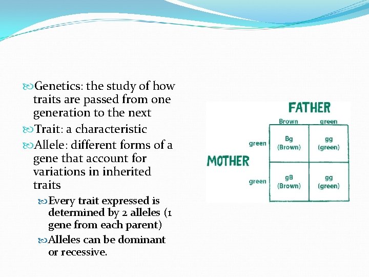  Genetics: the study of how traits are passed from one generation to the