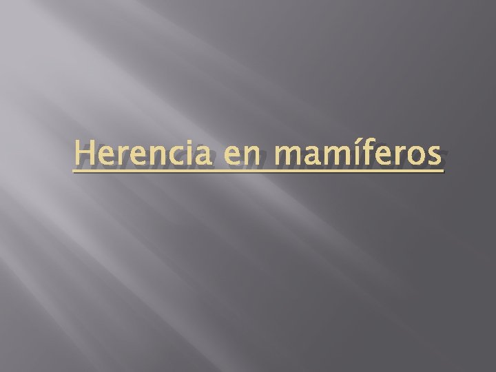 Herencia en mamíferos Herencia en mamíferos