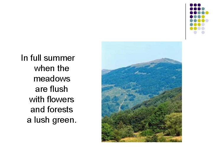 In full summer when the meadows are flush with flowers and forests a lush
