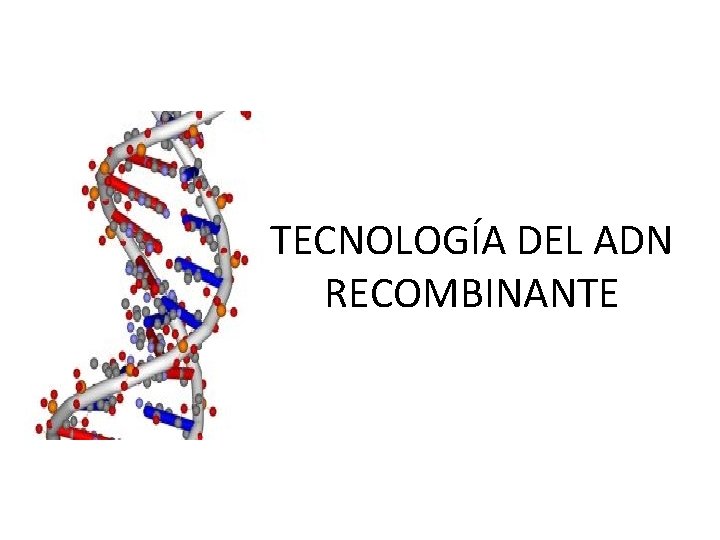 TECNOLOGÍA DEL ADN RECOMBINANTE 