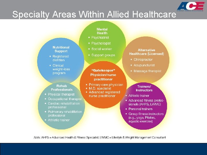 Specialty Areas Within Allied Healthcare 