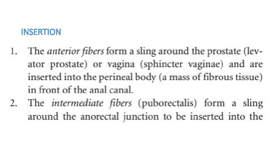 INSERTION 