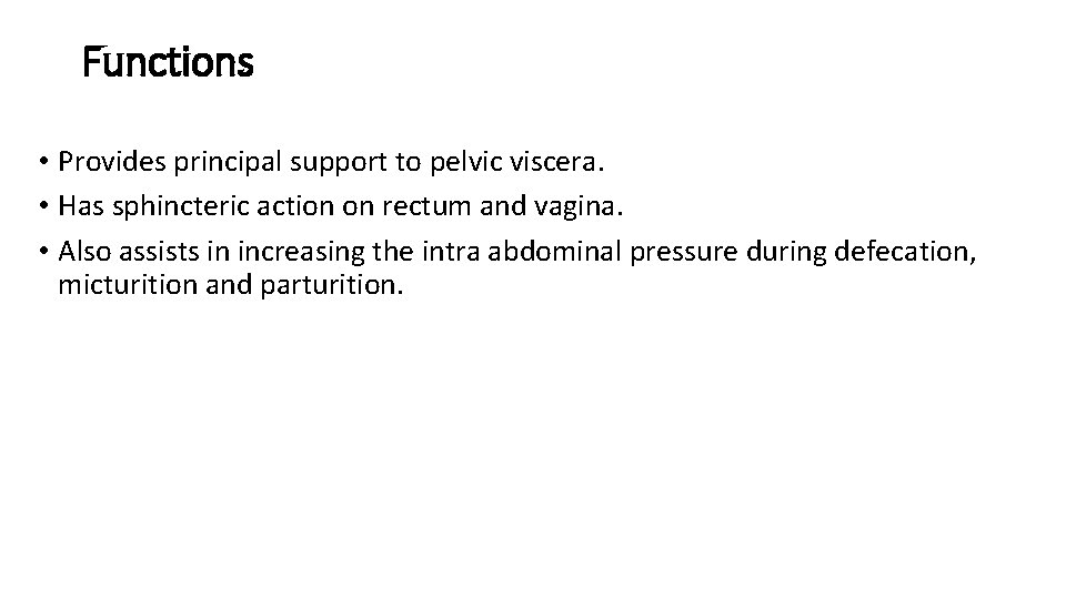 Functions • Provides principal support to pelvic viscera. • Has sphincteric action on rectum