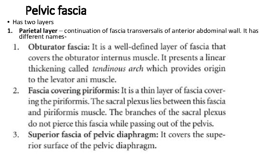 Pelvic fascia • Has two layers 1. Parietal layer – continuation of fascia transversalis