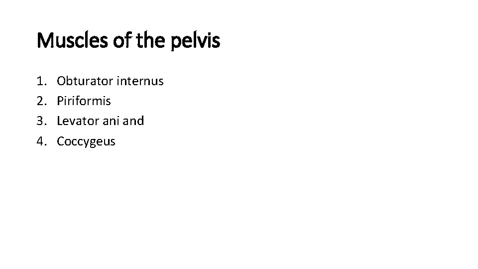 Muscles of the pelvis 1. 2. 3. 4. Obturator internus Piriformis Levator ani and