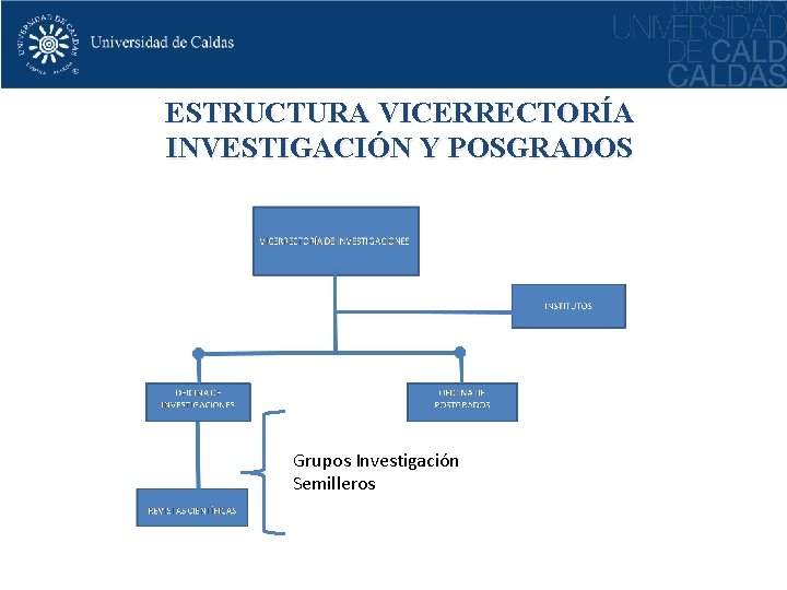 ESTRUCTURA VICERRECTORÍA INVESTIGACIÓN Y POSGRADOS 1 Grupos Investigación Semilleros 3 