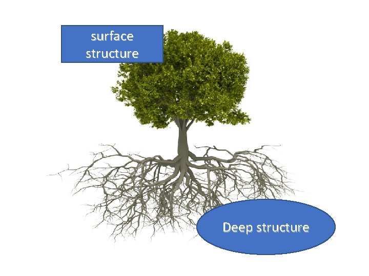 surface structure Deep structure 