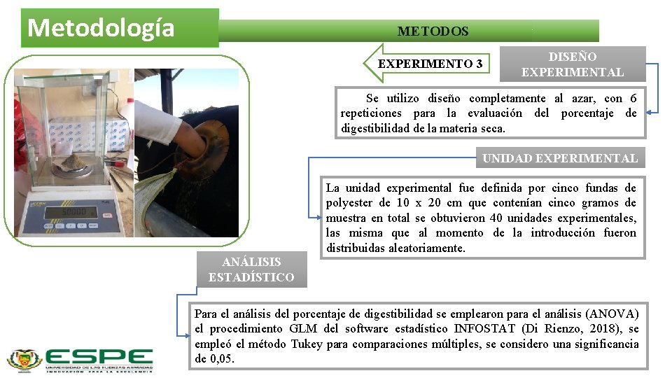 Metodología METODOS EXPERIMENTO 3 DISEÑO EXPERIMENTAL Se utilizo diseño completamente al azar, con 6