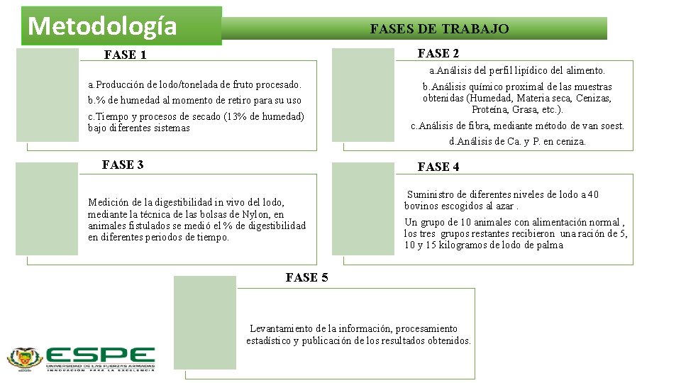 Metodología FASES DE TRABAJO FASE 2 FASE 1 a. Producción de lodo/tonelada de fruto