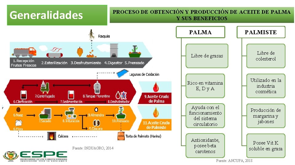 Generalidades PROCESO DE OBTENCIÓN Y PRODUCCIÓN DE ACEITE DE PALMA Y SUS BENEFICIOS PALMA