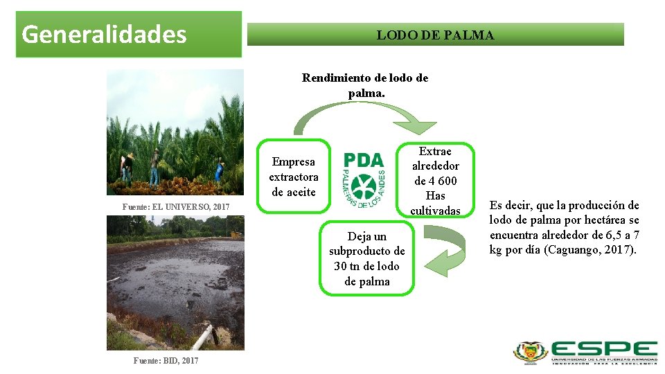 Generalidades LODO DE PALMA Rendimiento de lodo de palma. Extrae alrededor de 4 600