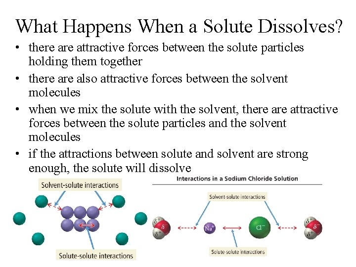 What Happens When a Solute Dissolves? • there attractive forces between the solute particles