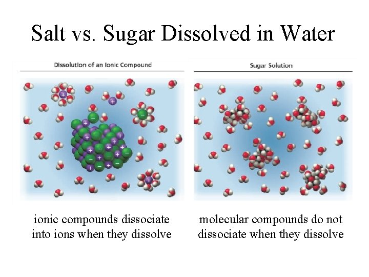 Salt vs. Sugar Dissolved in Water ionic compounds dissociate into ions when they dissolve