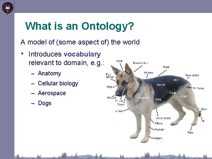 What is an Ontology? A model of (some aspect of) the world • Introduces