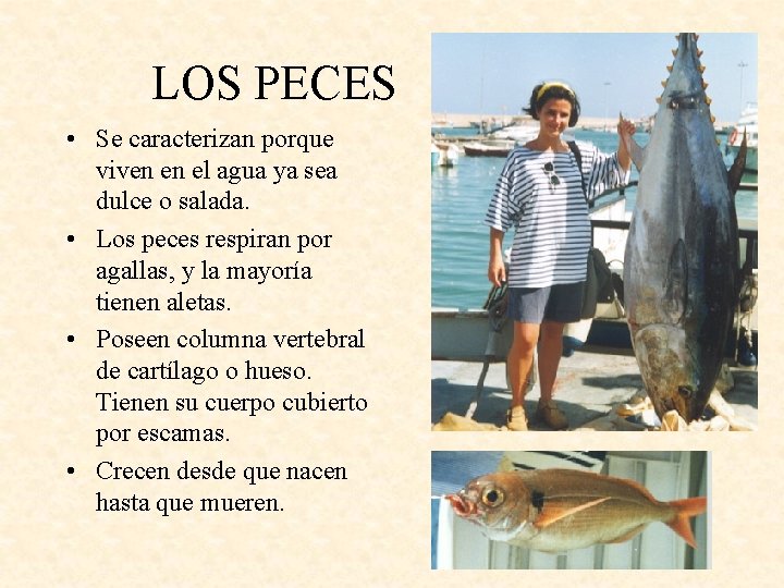 LOS PECES • Se caracterizan porque viven en el agua ya sea dulce o