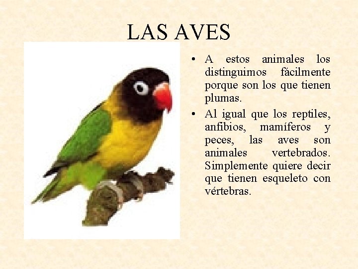 LAS AVES • A estos animales los distinguimos fácilmente porque son los que tienen