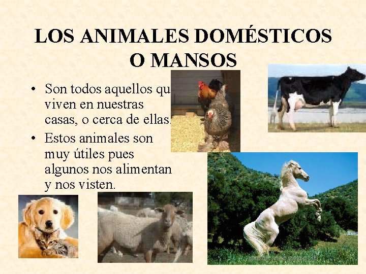 LOS ANIMALES DOMÉSTICOS O MANSOS • Son todos aquellos que viven en nuestras casas,