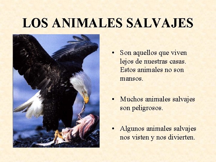 LOS ANIMALES SALVAJES • Son aquellos que viven lejos de nuestras casas. Estos animales