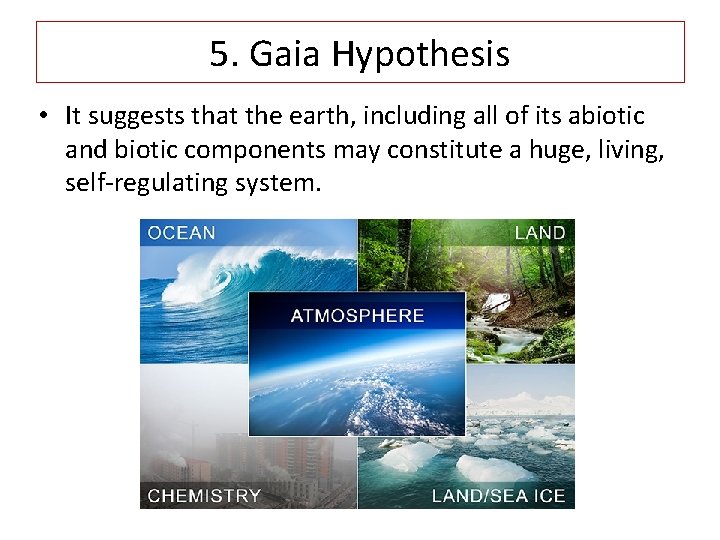 5. Gaia Hypothesis • It suggests that the earth, including all of its abiotic