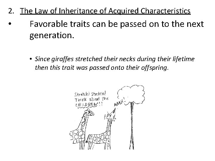 2. The Law of Inheritance of Acquired Characteristics • Favorable traits can be passed