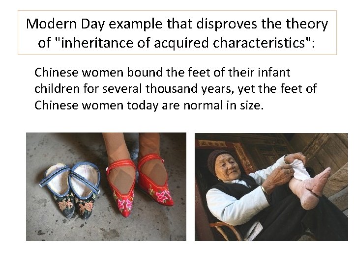 Modern Day example that disproves theory of "inheritance of acquired characteristics": Chinese women bound