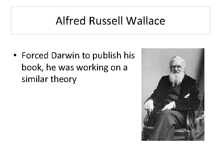 Alfred Russell Wallace • Forced Darwin to publish his book, he was working on