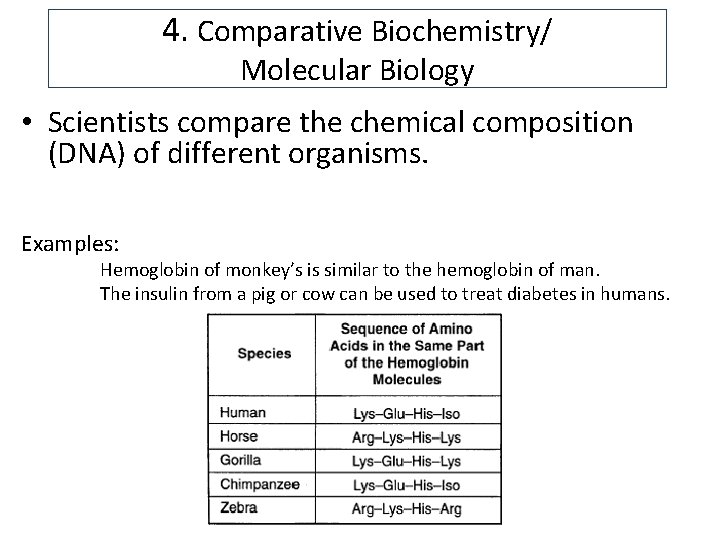 4. Comparative Biochemistry/ Molecular Biology • Scientists compare the chemical composition (DNA) of different