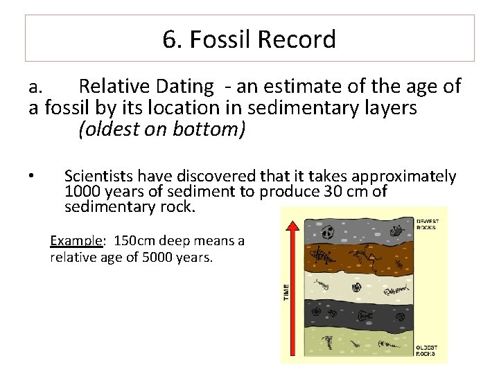 6. Fossil Record Relative Dating - an estimate of the age of a fossil