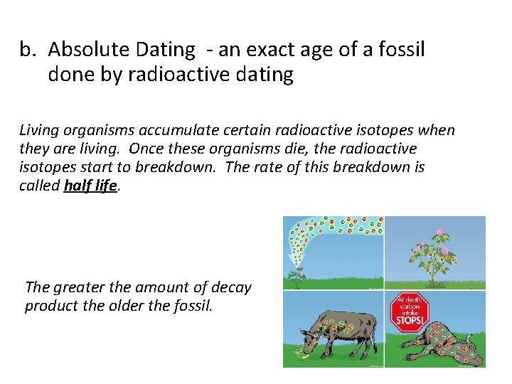 b. Absolute Dating - an exact age of a fossil done by radioactive dating