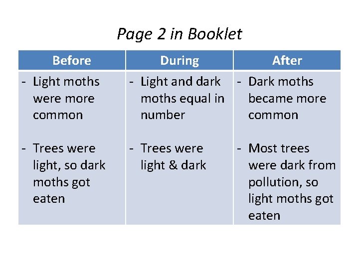 Page 2 in Booklet Before During After - Light moths were more common -