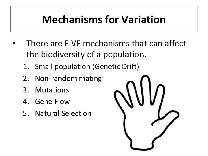 Mechanisms for Variation • There are FIVE mechanisms that can affect the biodiversity of