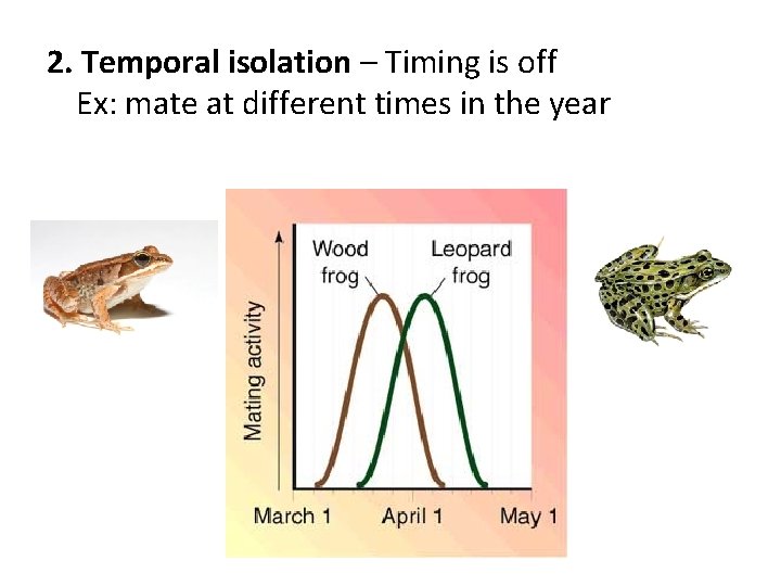 2. Temporal isolation – Timing is off Ex: mate at different times in the