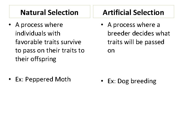 Natural Selection Artificial Selection • A process where individuals with favorable traits survive to