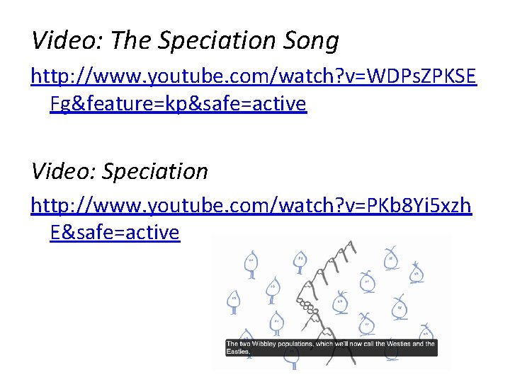 Video: The Speciation Song http: //www. youtube. com/watch? v=WDPs. ZPKSE Fg&feature=kp&safe=active Video: Speciation http: