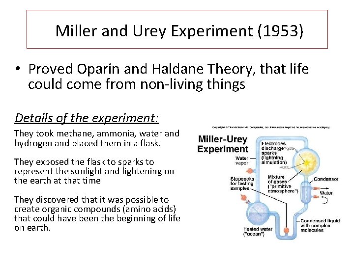 Miller and Urey Experiment (1953) • Proved Oparin and Haldane Theory, that life could