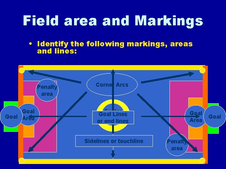 Field area and Markings • Identify the following markings, areas and lines: Penalty area